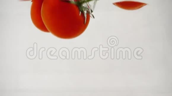 四个红色的西红柿和一根小树枝漂浮在白色的背景下视频的预览图