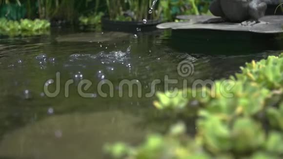 一尊雕像溅入池塘的水流视频的预览图