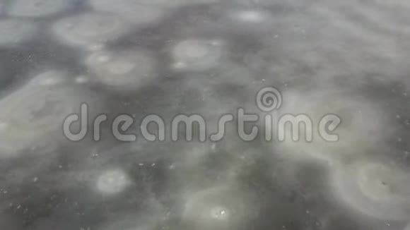 冬季河流冰冻水面的鸟瞰图视频的预览图