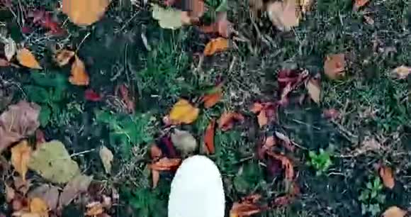 在五彩缤纷的秋天的地毯上一个穿着白色运动鞋的男人走在山顶上视频的预览图