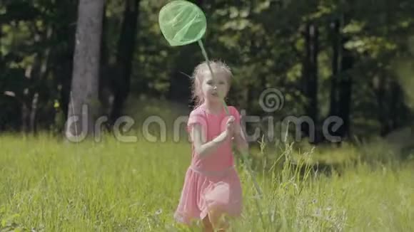 一个蝴蝶网在林间空地上奔跑的孩子视频的预览图
