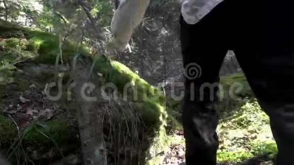 为一个穿过树林和长满苔藓的大石头的人而靠近录像一个穿黑色靴子的男人的后视镜视频的预览图