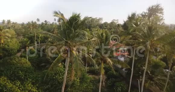 无人机在充满异国情调的阳光度假岛上围绕着绿色的椰子棕榈树和热带度假酒店和房屋飞行视频的预览图