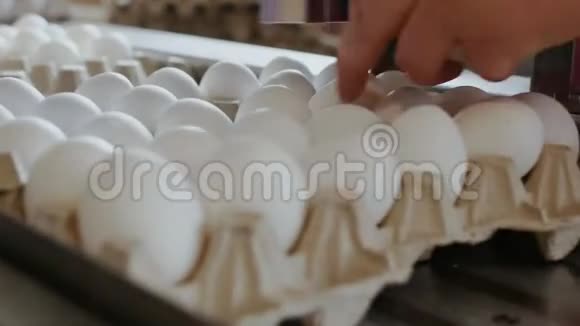 女人用手把鸡蛋装进纸板箱有机农业概念视频的预览图