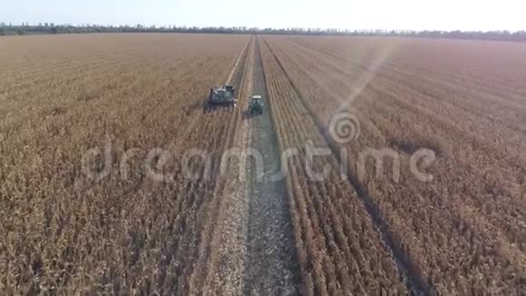 秋收季节玉米地农业机械视频的预览图