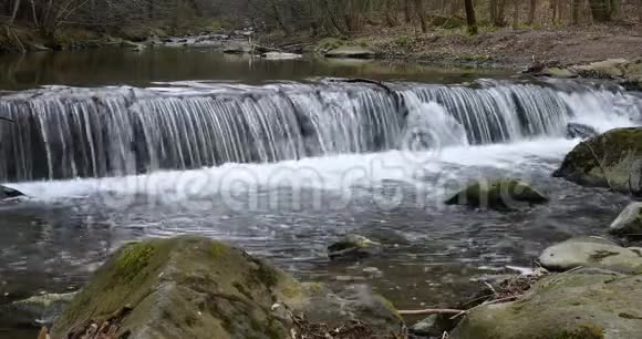春天小河上的瀑布视频的预览图