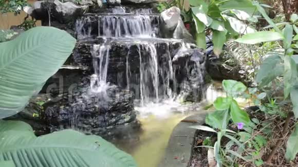 夏日阳光下花园中的小瀑布模型视频的预览图