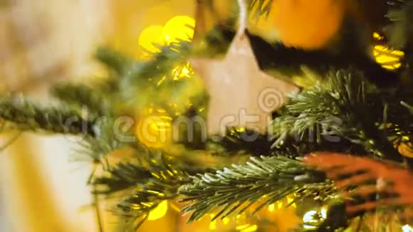 有灯光的圣诞树寒假北方的象征抽象背景视频的预览图