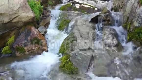 阿尔普山上的瀑布带瀑布的高山绿色草地景观视频的预览图
