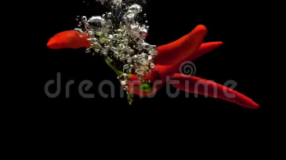 红辣椒在黑色背景下落入透明水视频的预览图