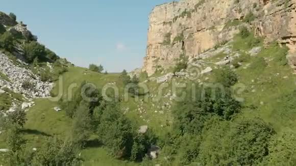 低飞山峡在树上岩石间的鸟瞰视频的预览图