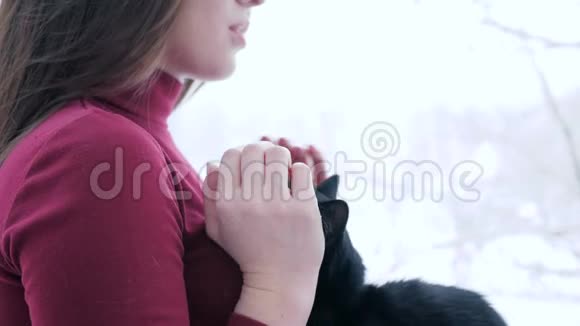 猫的生活女人在不专注的背景下抚摸家中的动物视频的预览图