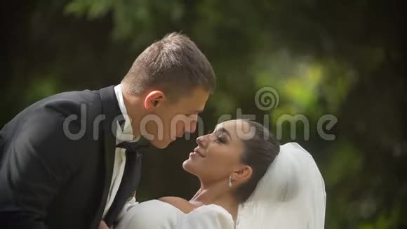 幸福拥抱新婚夫妇的浪漫肖像新娘温柔地抚摸着新郎的脸颊视频的预览图