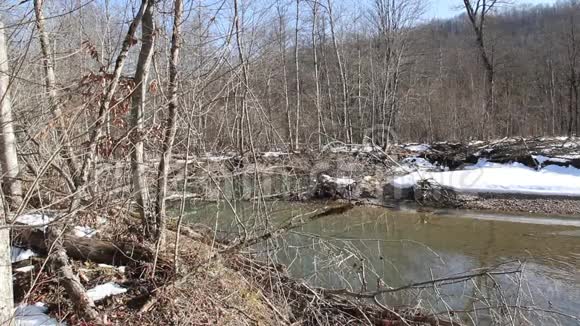 深秋的山河视频的预览图