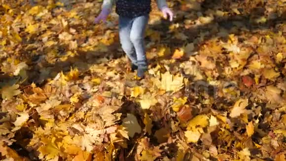 一个小女孩奔跑掉进一堆黄叶里快乐幸福一个温暖的秋日视频的预览图