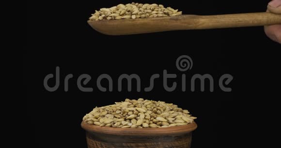 大麦谷物从一个木勺上得到足够的睡眠在一堆泥土碗里的种子视频的预览图