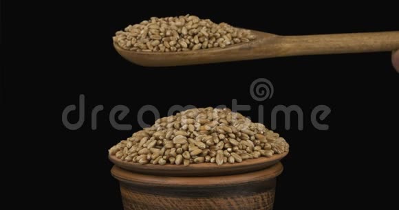 麦粒从一个木勺子上得到足够的睡眠在一堆泥土碗里视频的预览图