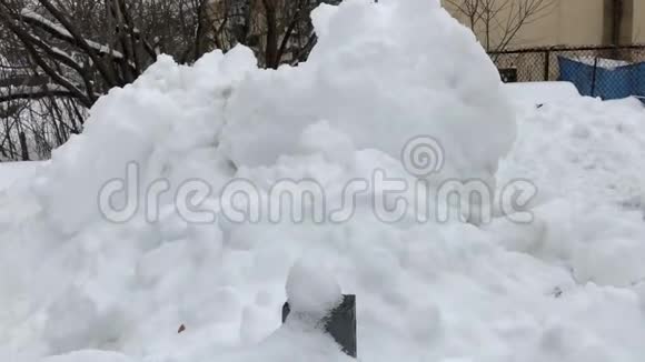 渥太华冬季降大雪视频的预览图