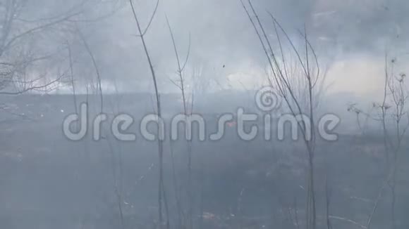 野火造成的空气污染燃烧场上方的烟雾视频的预览图