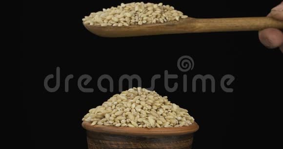 珍珠大麦颗粒从一个木勺上得到足够的睡眠在一堆泥土碗里的种子视频的预览图