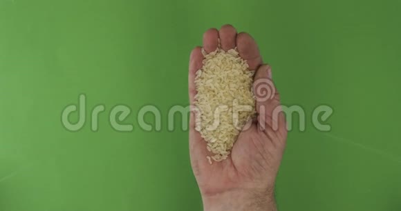 农夫在掌中捧着米粒手中的一堆谷物落在绿色的背景上视频的预览图