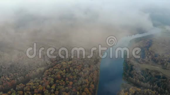 在森林中蜿蜒的河流中穿过云雾飞向美丽的秋景视频的预览图