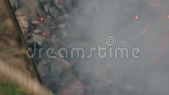 烤架上的甜红椒他在烧烤上抽烟视频的预览图