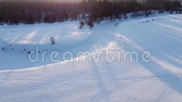 雪域和森林的俯视图四架直升机在日落时拍摄视频的预览图