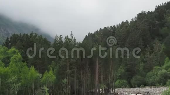 夏天阿尔卑斯山的山溪自上而下向前移动瀑布森林里的清水视频的预览图