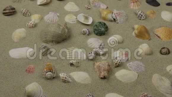 全景沙滩上贝壳和石头的五颜六色的背景视频的预览图