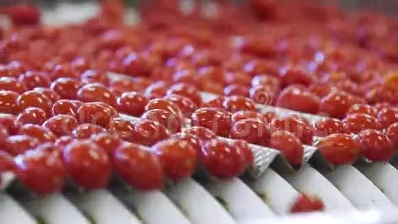 罐头厂生产罐装蔬菜产品保存西红柿罐装番茄有西红柿的玻璃瓶视频的预览图