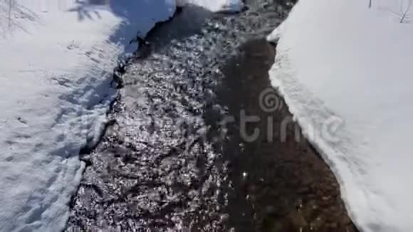 加拿大魁北克春天美丽的小河视频的预览图