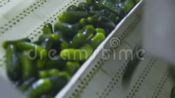 蔬菜加工用自动洗涤线保存黄瓜黄瓜罐头黄瓜玻璃罐视频的预览图