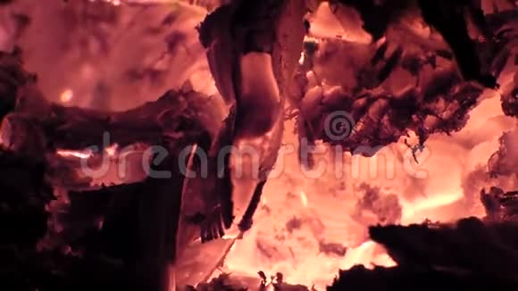 火背景在炉子里的红色炽热燃烧的炭特写视图视频的预览图