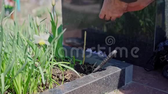 在坟墓上点燃蜡烛纪念一位亲人视频的预览图