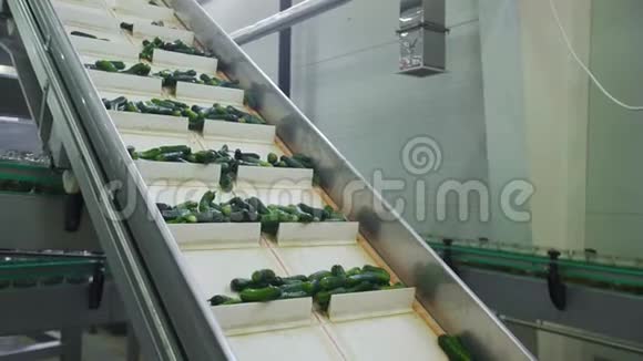 蔬菜加工自动生产线保存黄瓜黄瓜罐头装有黄瓜和香料的玻璃瓶视频的预览图