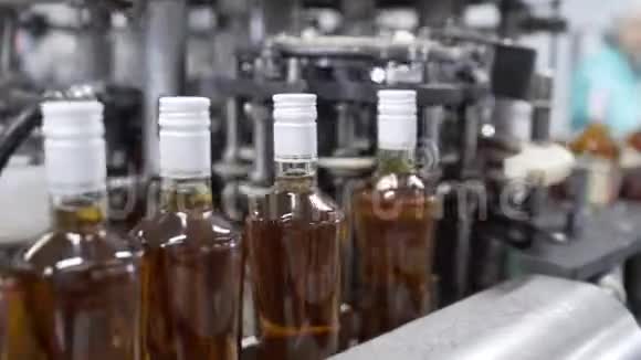 在现代酒厂中装有梅干酊剂的玻璃瓶沿着带有控制面板的输送线移动以便装瓶视频的预览图
