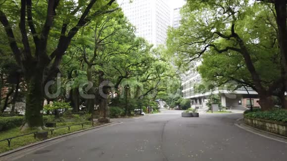 日本公园东京景观视频的预览图
