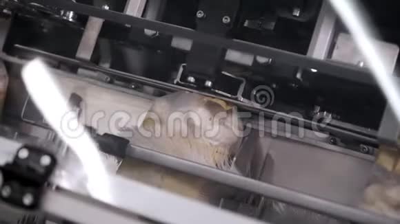 关闭机器包装冷冻饺子的镜头生产半成品的现代化工厂视频的预览图