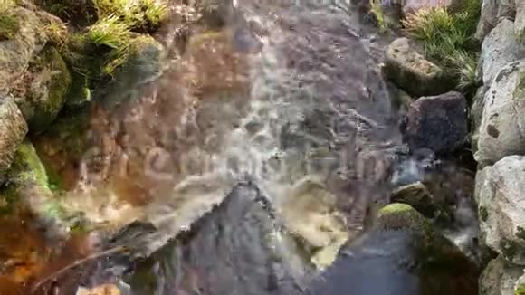 去年冬天阳光明媚绿油油的哈兹山脉森林景观与红色的黑色水流紧密相连视频的预览图