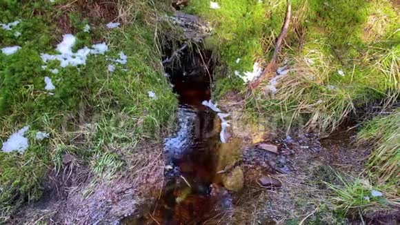 去年冬天的日子阳光明媚绿油油粗糙的哈兹山林景观德国有一条小溪视频的预览图