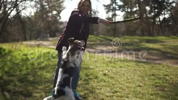 宠物护理检疫期间狗在公园散步一个年轻的女人和她可爱的小狗狗在玩视频的预览图