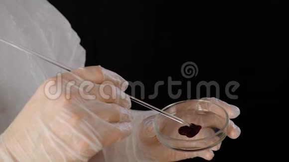 科学家在培养皿中涂抹血样视频的预览图
