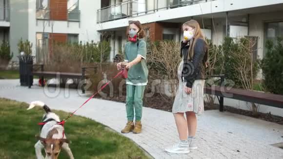 一个男孩和一个女孩戴着防护面具在隔离期间遛狗关心动物冠状病毒流行共同免疫视频的预览图