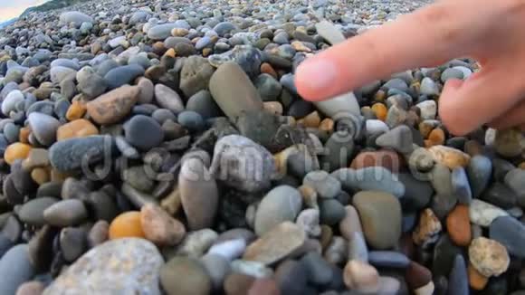 女人试图用手指触摸小螃蟹跑在鹅卵石海滩上看水行动凸轮视图视频的预览图