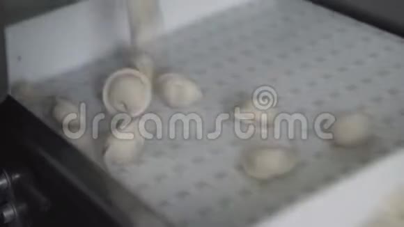在饺子厂关闭自动机器生产过程的录像新鲜生料球团沿输送带移动视频的预览图