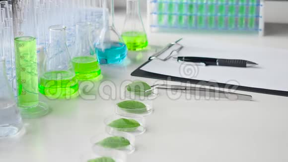 在实验室里的工作桌上放着试管在宠物盘子里放着绿叶视频的预览图