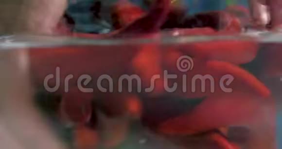 特写男士的手被洗干净的鲜辣红辣椒清水放在玻璃花瓶里素食健康营养食品视频的预览图