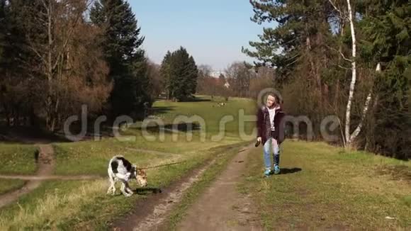女孩和她的狗在城市公园散步年轻的公狗沿着跑道在女主人面前奔跑近距离描绘视频的预览图
