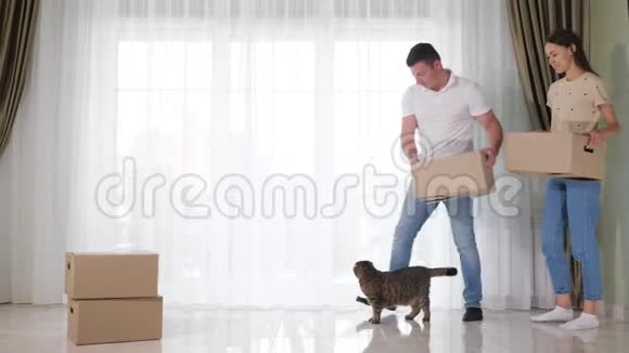 一对夫妇带着大纸盒和猫去新家视频的预览图